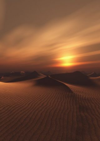 0a54e8edecd247bceebdf63dd873acaf